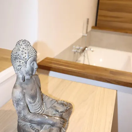 La D'ondine Avec Espace Wellness Apartment *