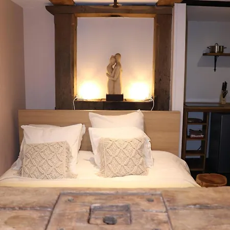La D'ondine Avec Espace Wellness Lobbes